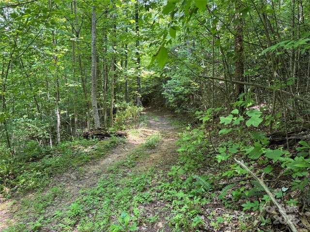 187 Hodges Creek Rd, Old Fort, NC 28762