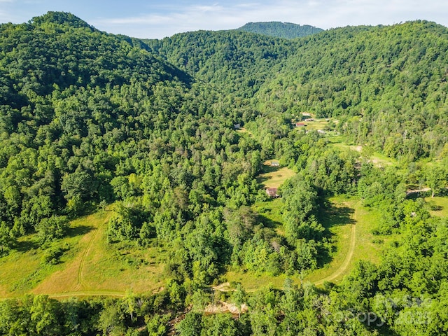 187 Hodges Creek Rd, Old Fort, NC 28762