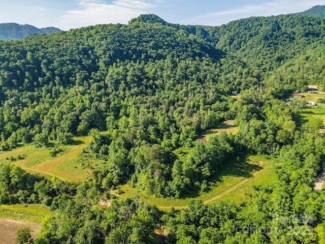 187 Hodges Creek Rd, Old Fort, NC 28762