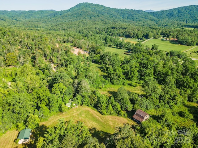 187 Hodges Creek Rd, Old Fort, NC 28762