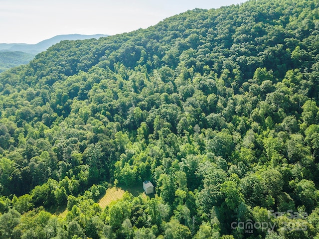187 Hodges Creek Rd, Old Fort, NC 28762