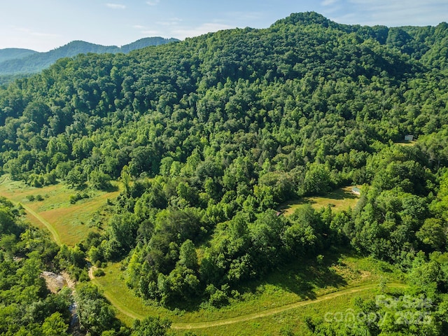 187 Hodges Creek Rd, Old Fort, NC 28762
