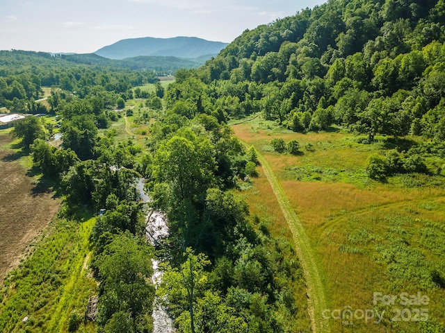 187 Hodges Creek Rd, Old Fort, NC 28762