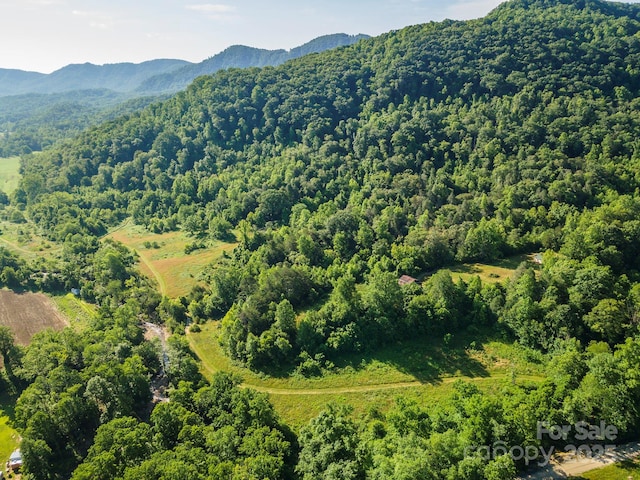 187 Hodges Creek Rd, Old Fort, NC 28762