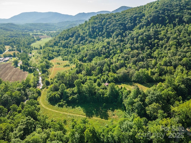 187 Hodges Creek Rd, Old Fort, NC 28762