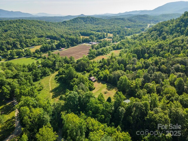 187 Hodges Creek Rd, Old Fort, NC 28762