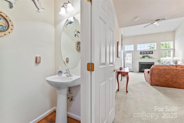 1418 Skidaway St NW Unit 427, Concord, NC 28027 - bathroom with a glass covered fireplace and a sink