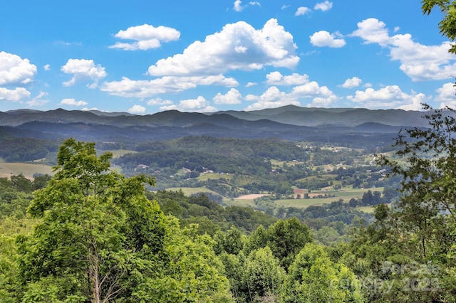 127 View Ridge Parkway, Leicester, NC 28748 - view of mountain background