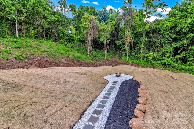 127 View Ridge Parkway, Leicester, NC 28748 - view of yard
