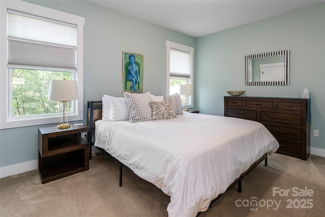 26 Byrdcliffe Ln, Asheville, NC 28805 - bedroom with multiple windows and carpet flooring