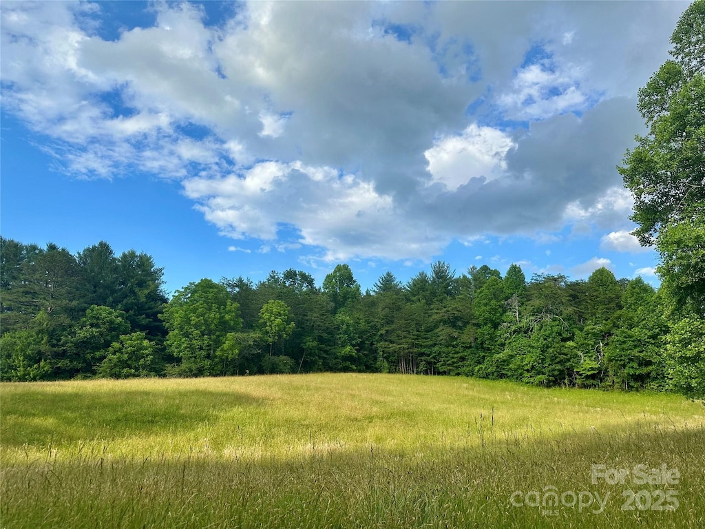 99999 Jenkins Valley Rd, Alexander, NC 28701 - photo 1