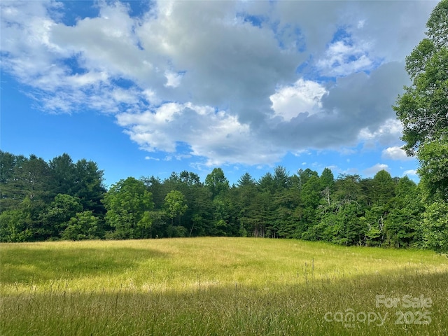 99999 Jenkins Valley Rd, Alexander, NC 28701 - photo 1