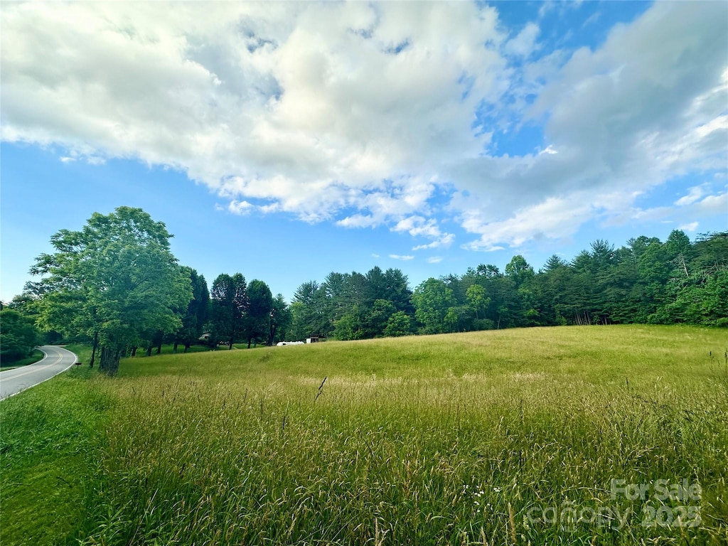 99999 Jenkins Valley Rd, Alexander, NC 28701 - photo 3