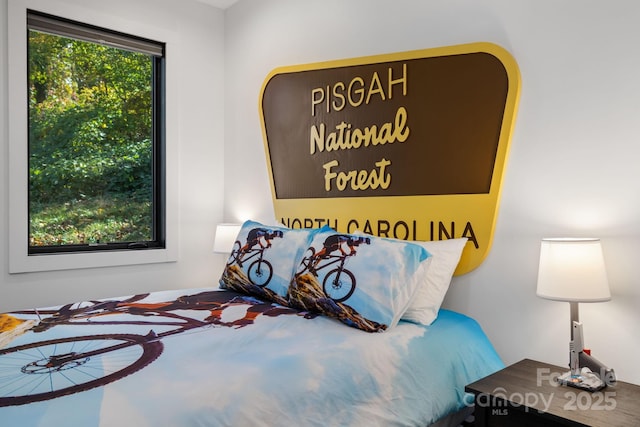 28 Carrick Ln, Brevard, NC 28712 - view of bedroom