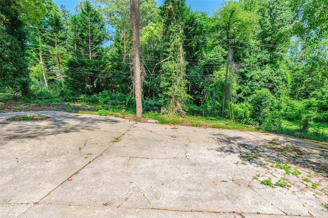 2116 Eastway Dr, Charlotte, NC 28205 - view of yard featuring a patio area and a wooded view