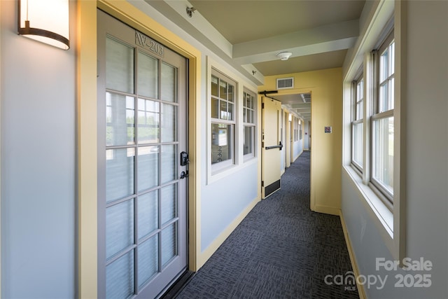 37 Hiawassee St Unit W203, Asheville, NC 28801 - photo 3