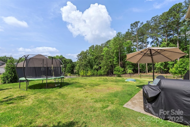 17637 Snug Harbor Rd, Charlotte, NC 28278 - view of yard featuring a trampoline