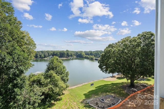 4455 Reed Creek Dr Unit 101, Sherrills Ford, NC 28673 - water view