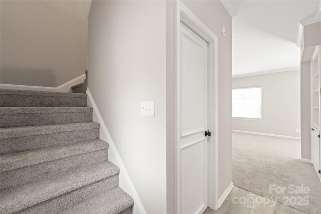 5949 Quail Hollow Rd Unit E, Charlotte, NC 28210 - stairs with baseboards and carpet flooring
