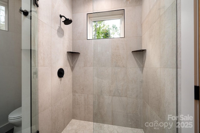 33 Windago Rd, Weaverville, NC 28787 - bathroom with toilet and a tile shower