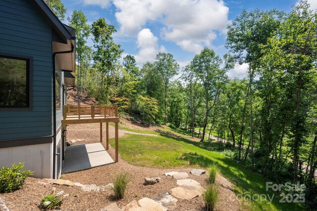 33 Windago Rd, Weaverville, NC 28787 - view of green lawn