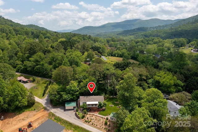 55 Upper Moffitt Rd, Asheville, NC 28805 - photo 35