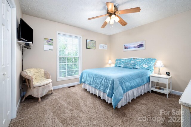 55 Upper Moffitt Rd, Asheville, NC 28805 - photo 19