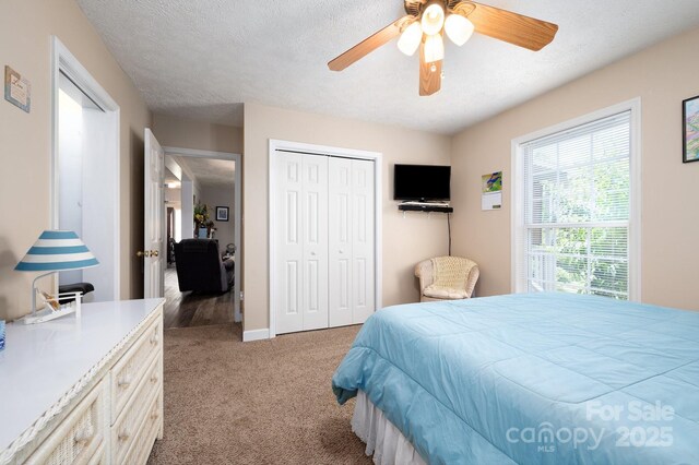 55 Upper Moffitt Rd, Asheville, NC 28805 - photo 20
