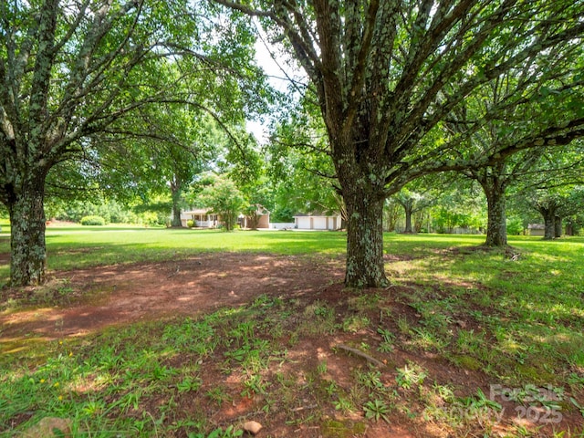 409 Ridge Rd, Clover, SC 29710 - view of grassy yard