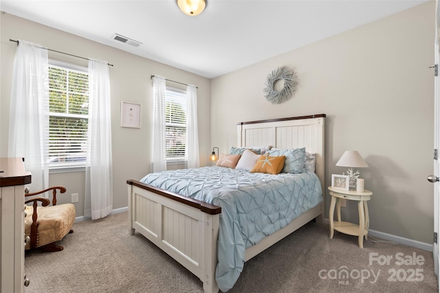5059 Fenwick Ct, Lancaster, SC 29720 - bedroom featuring light colored carpet and multiple windows