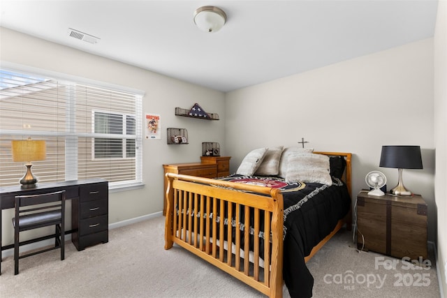 5059 Fenwick Ct, Lancaster, SC 29720 - carpeted bedroom with multiple windows