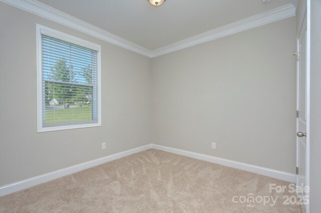 4333 Legacy Dr, Denver, NC 28037 - photo 17