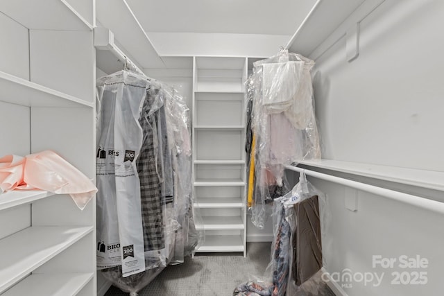 4918 Tyne Dr, Durham, NC 27703 - spacious closet featuring carpet floors