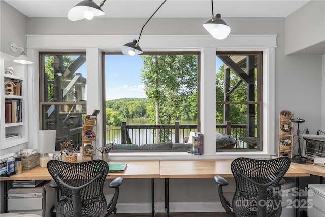5888 Wood Duck Way, Catawba, NC 28609 - office space featuring a water view and built in desk
