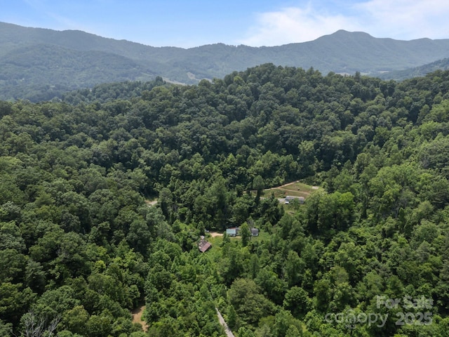 99 Bridges Cove Rd, Leicester, NC 28748 - aerial view of a heavily wooded area and mountains