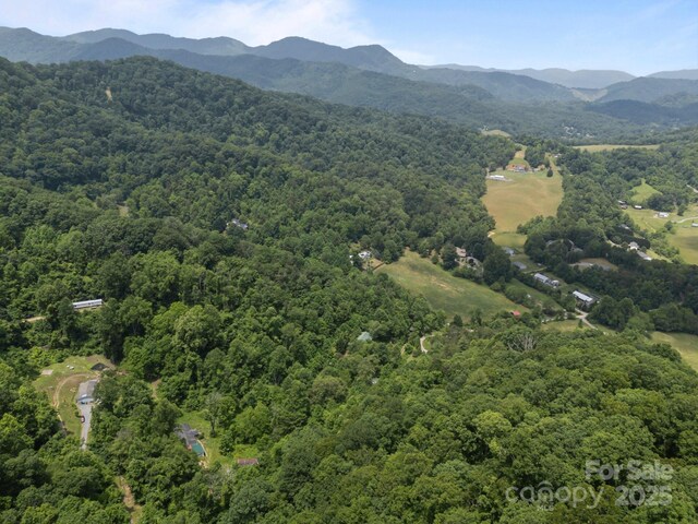 99 Bridges Cove Rd, Leicester, NC 28748 - aerial view of property's location with a heavily wooded area and a mountainous background