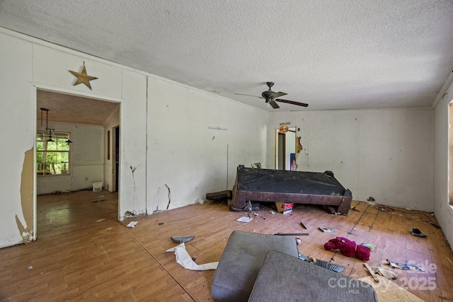 99 Bridges Cove Rd, Leicester, NC 28748 - living area with hardwood / wood-style flooring, a textured ceiling, and ceiling fan