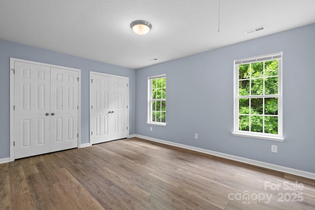 120 Alpine Ridge Dr, Asheville, NC 28803 - unfurnished bedroom featuring multiple closets and wood finished floors