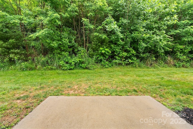 120 Alpine Ridge Dr, Asheville, NC 28803 - view of green lawn with a patio area