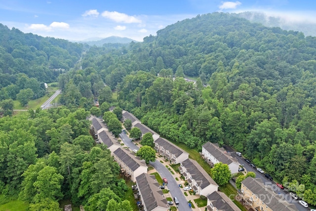 120 Alpine Ridge Dr, Asheville, NC 28803 - bird's eye view of a forest and a mountain backdrop