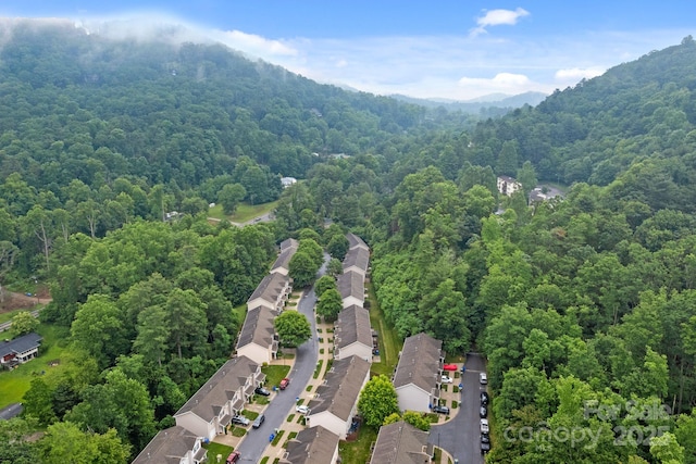 120 Alpine Ridge Dr, Asheville, NC 28803 - bird's eye view of a forest and a mountainous background
