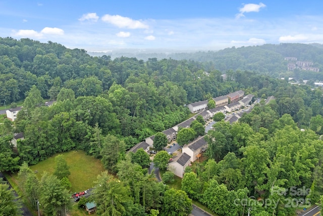 120 Alpine Ridge Dr, Asheville, NC 28803 - bird's eye view of a forest
