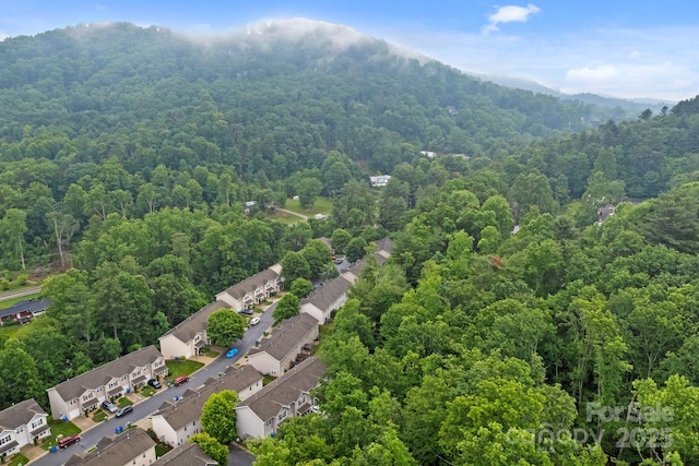 120 Alpine Ridge Dr, Asheville, NC 28803 - bird's eye view of a forest and a mountainous background