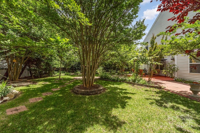 13622 Stringfellow Ln, Charlotte, NC 28278 - view of yard with a patio