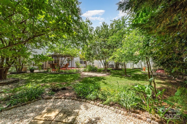 13622 Stringfellow Ln, Charlotte, NC 28278 - view of grassy yard