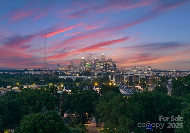 4117 Sarah Dr, Charlotte, NC 28217 - view of city