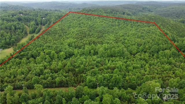 0 Maple Creek Rd Unit 1, Rutherfordton, NC 28152