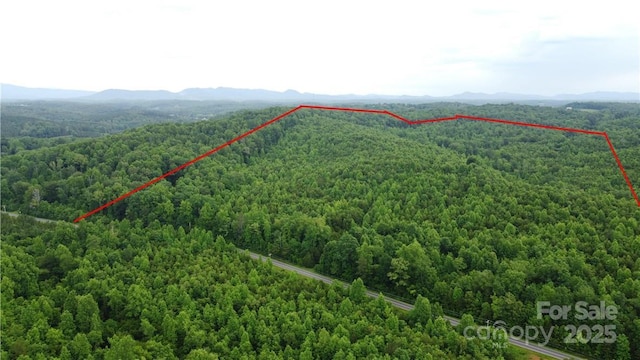 0 Maple Creek Rd Unit 1, Rutherfordton, NC 28152