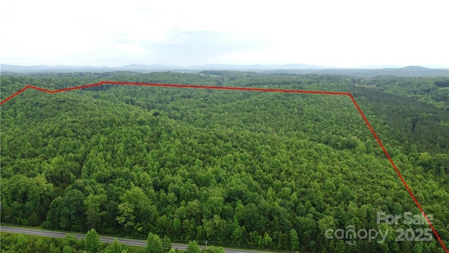 0 Maple Creek Rd Unit 1, Rutherfordton, NC 28152