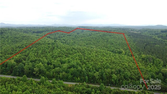 0 Maple Creek Rd Unit 1, Rutherfordton, NC 28152
